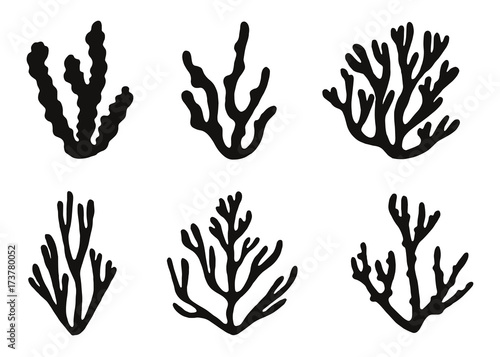 algae silhouette isolated vector icons