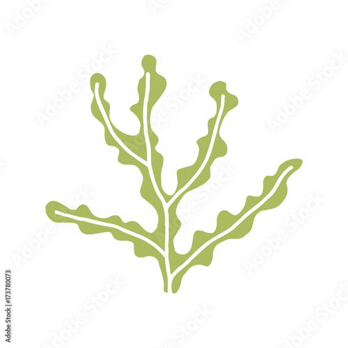 seaweed isolated vector icon