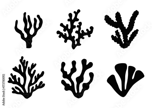 seaweed set vector icons