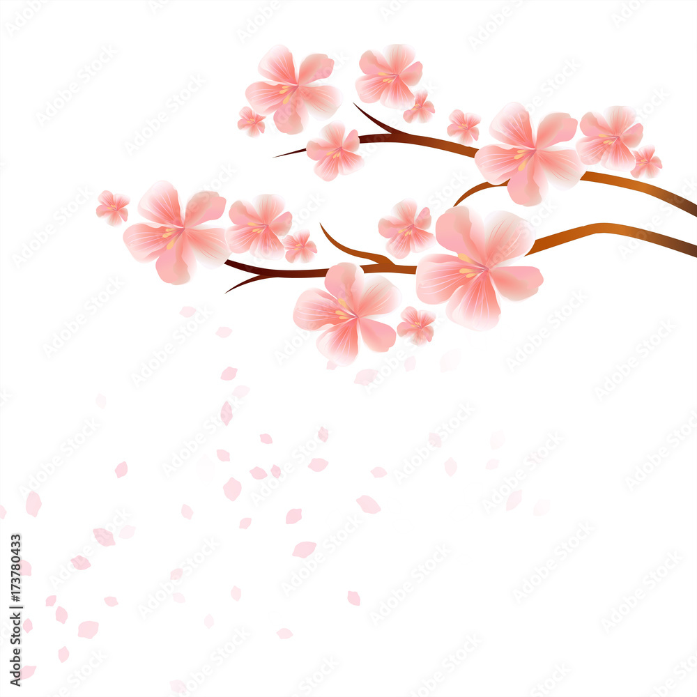 Branches of Sakura with Pink flowers and flying petals isolated on White background. Apple-tree flowers. Cherry blossom. Vector Branches of Sakura with Pink flowers and flying petals isolated on White background. Apple-tree flowers. Cherry blossom. Vector
