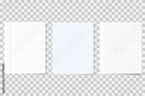 Set of realistic notebook papers. Different school sheets
