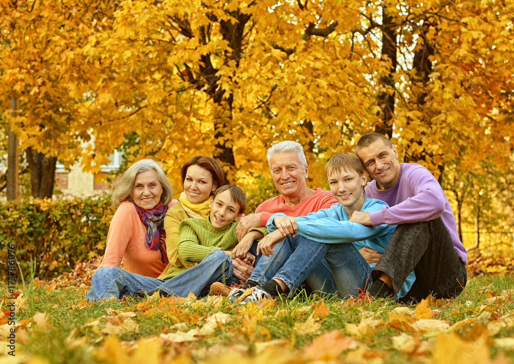 Fototapeta premium Big family sitting on ground 