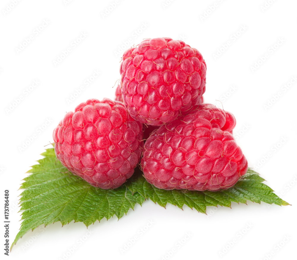 raspberry with green leaves isolated on white background raspberry with green leaves isolated on white background