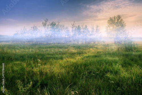 Summer meadow with foggy sunrise © Vitaliy