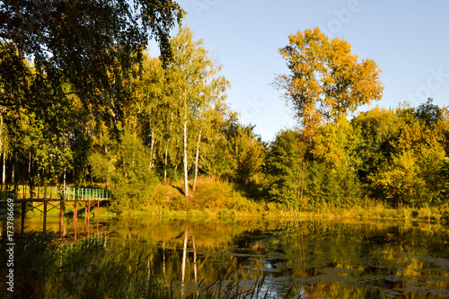 Autumn landscape in yellow tones. Forest lake. Russia. Moscow region