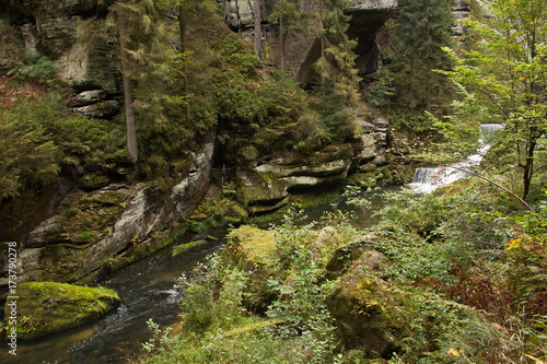 Klamm des Flusses Kamenice in der B  hmischen Schweiz in Tschechien  