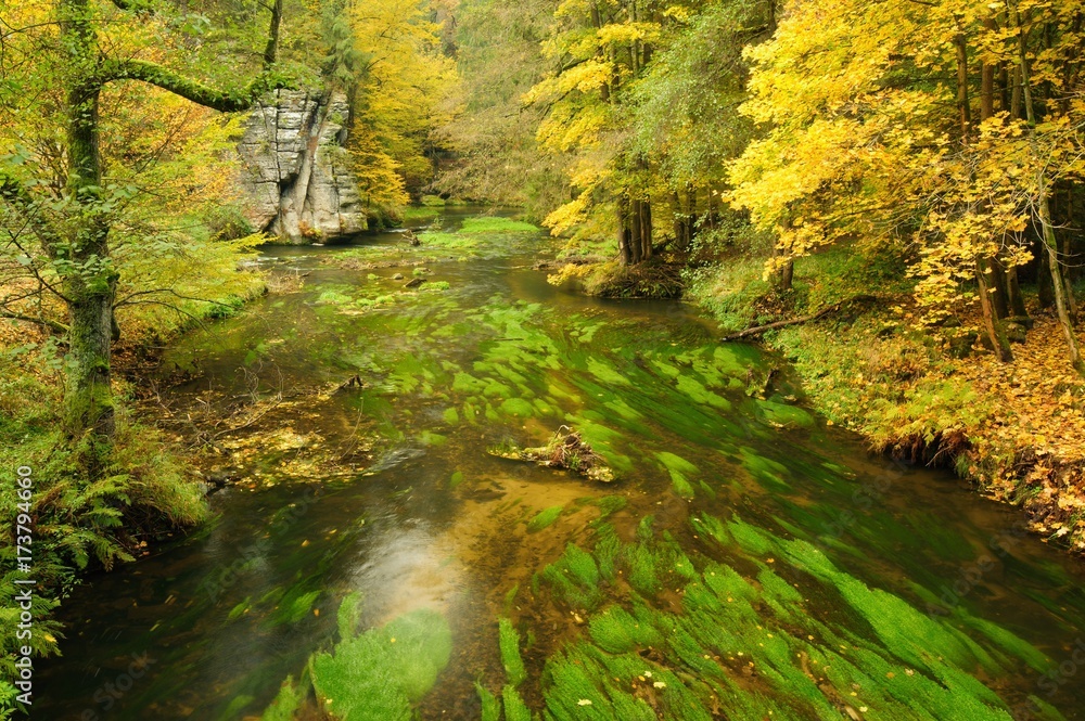 Autumn colors river