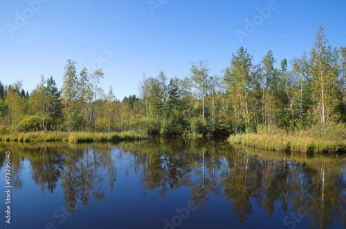 Autumn landscape with river at Sunny day