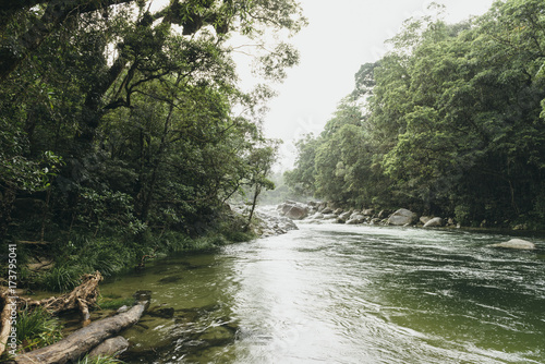 Scenic wild river in australia rainforest photo