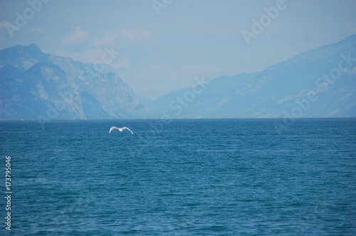 Vacation Photos Lago di Garda 2017