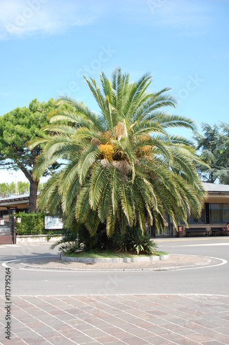 Vacation Photos Lago di Garda 2017