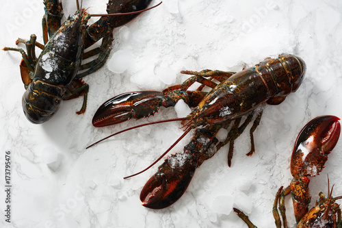 Three lobster in ice on table photo