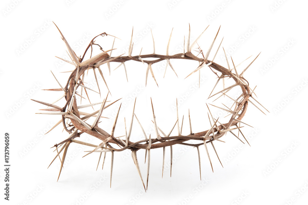 Fototapeta premium Crown of thorns isolated