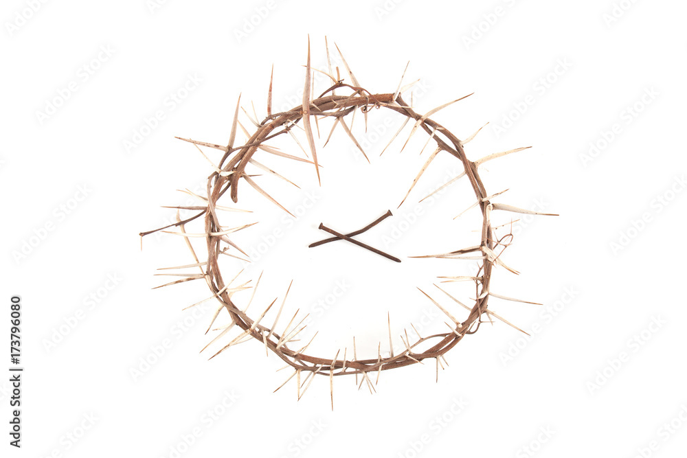 Fototapeta premium Crown of thorns isolated