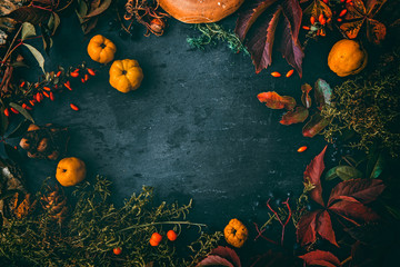 Thanksgiving autumn background