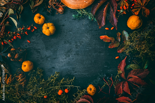 Thanksgiving autumn background
