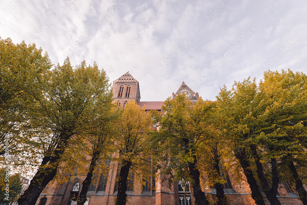 Fototapeta premium trees in city against sky