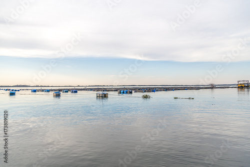 Fish farm  cage fish pisciculture  in Brazil. Parana River  border of S  o Paulo e Mato Grosso do Sul state