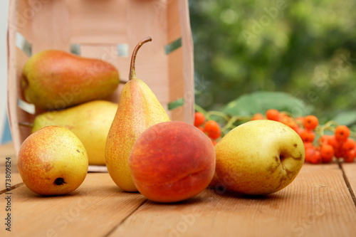 Pears, peach and rowan berries in a wooden box on a wooden table when harvesting in the forest