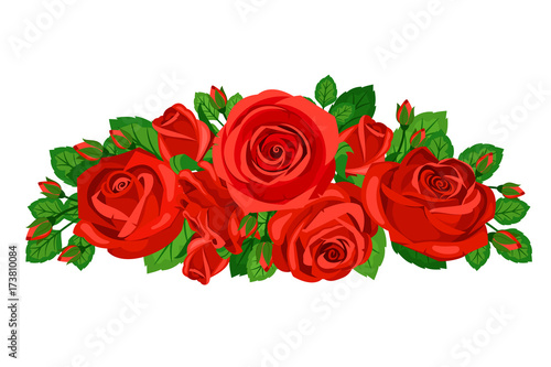 Beautiful red roses with buds isolated on white background