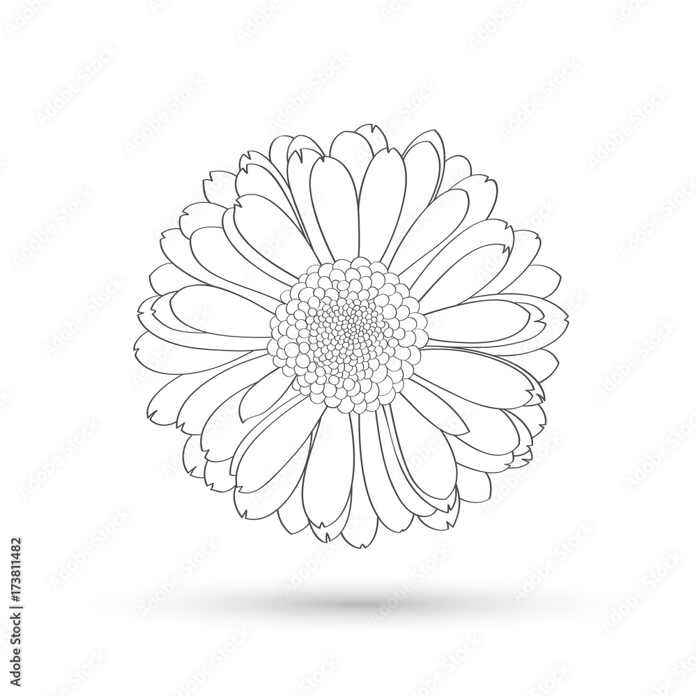 Abstract floral background. Vector flower gerbera. Element for design. Abstract floral background. Vector flower gerbera. Element for design.