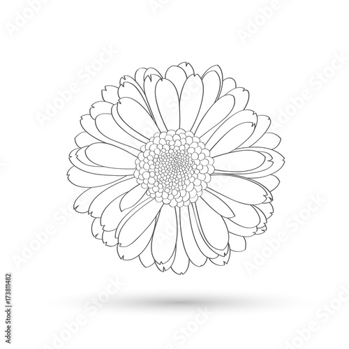 Abstract floral background. Vector flower gerbera. Element for design.