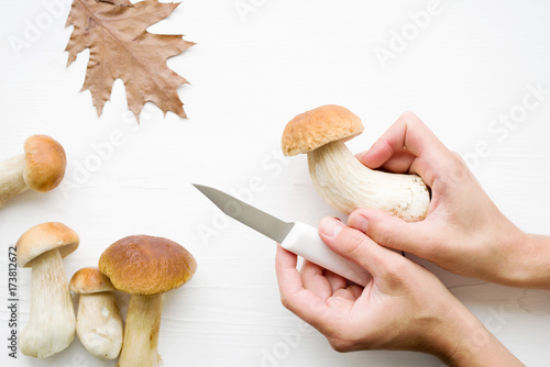 Forest cepes and female hands on a white surface of a table, close up. Autumn fresh boletus mushrooms.