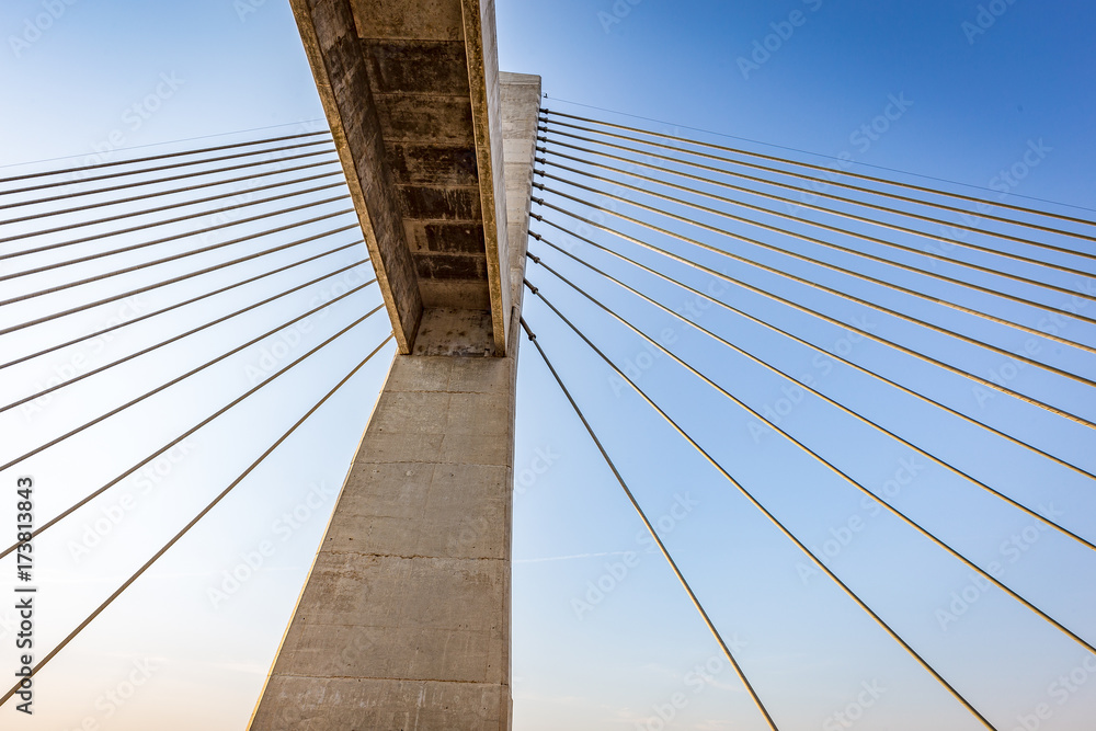 Obraz premium Cable-stayed bridge over Parana river, Brazil. Border of Sao Paulo and Mato Grosso do Sul states