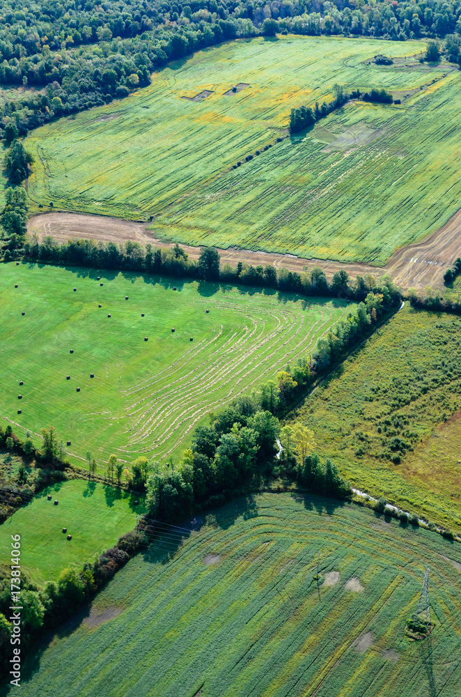 Vertical Aerial View of Farmland