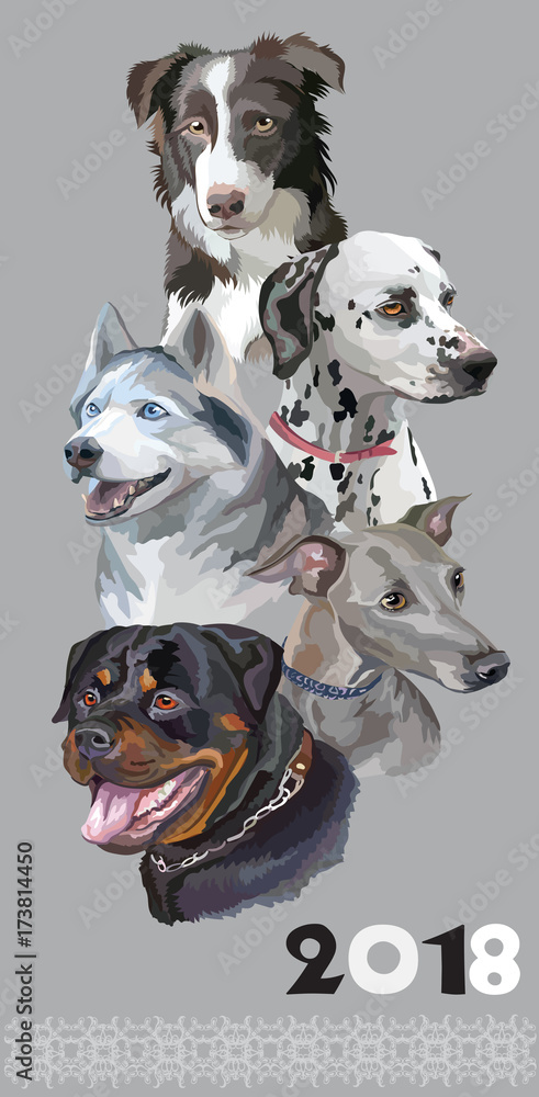 Postcard with dogs of different breeds-1