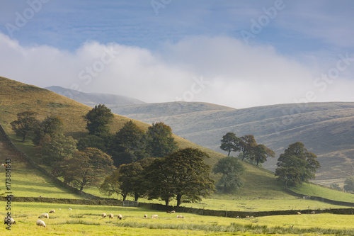 Misty Morning In Edale photo