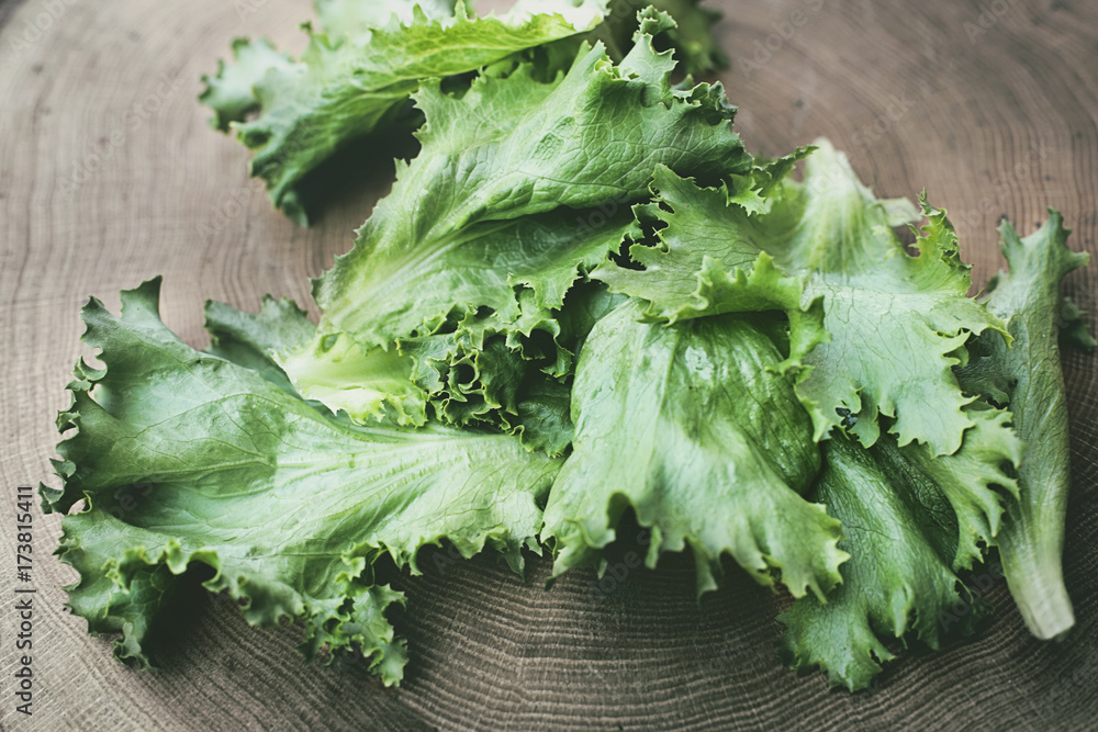 Leaf lettuce leaves on wood table Leaf lettuce leaves on wood table