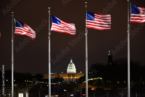 US Capitol Building with US flags flying in the wind - Washington DC, USA