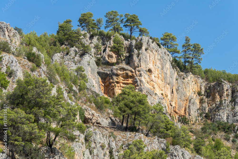 Naklejka premium Ansicht aus dem Nationalpark Krka mit Bäumen und Sträuchern an steiler Felswand