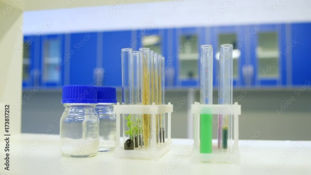 Close up of test tubes with plant specimen and liquids Close up of test tubes with plant specimen and liquids