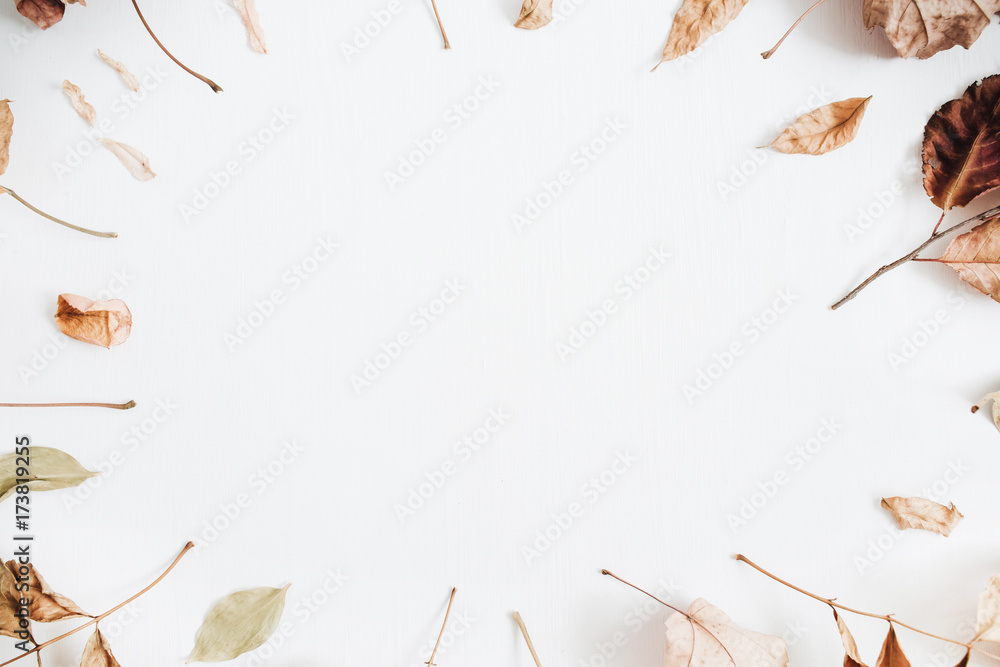 Frame with space for text made of dry autumn leaves on white background. Fall flat lay. Top view. Frame with space for text made of dry autumn leaves on white background. Fall flat lay. Top view.