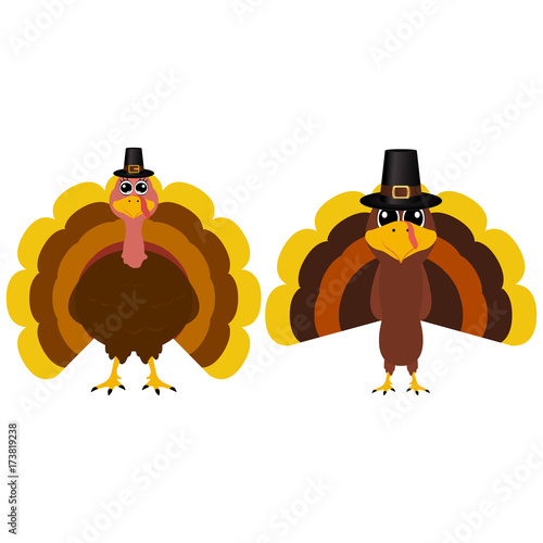 Turkey Pilgrimin on Thanksgiving Day