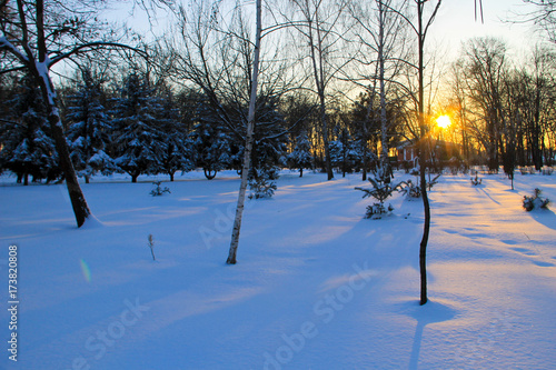 Sunset in a city park on winter