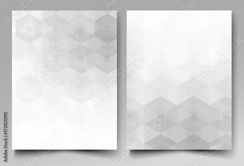 A template of the brochure design. Grey background with hexagon