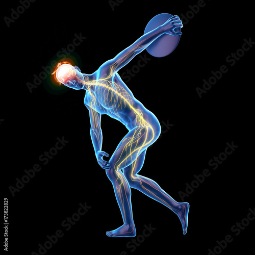 Fotografie 3d rendered medically accurate illustration of discus throwers brain