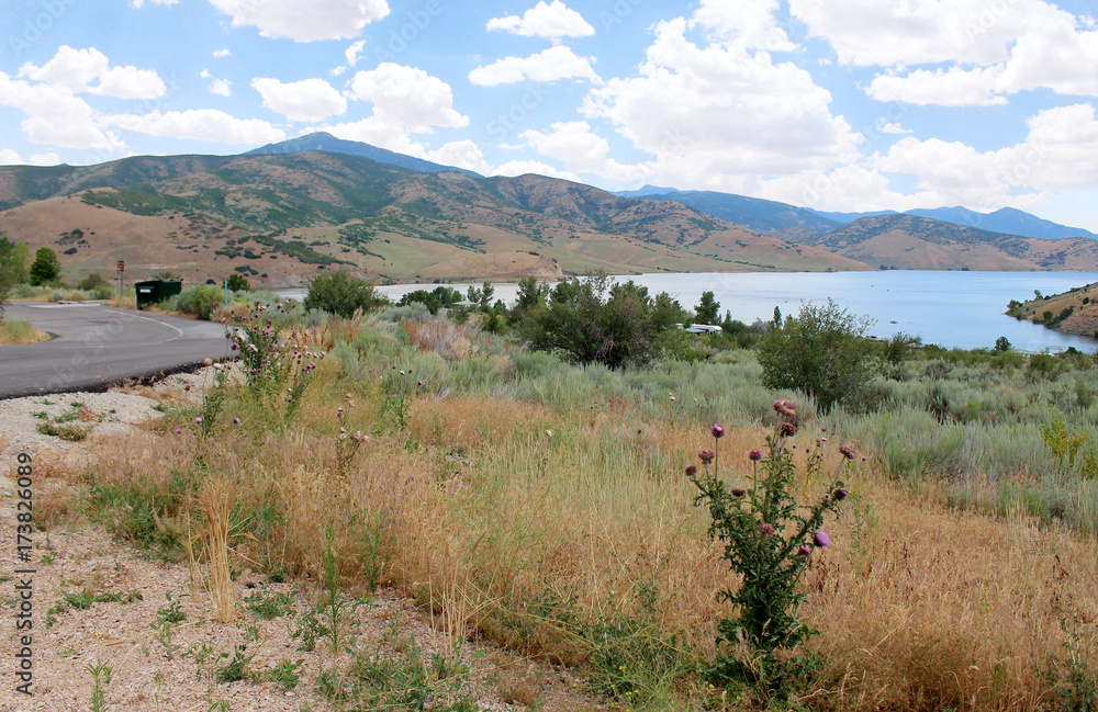 Fototapeta premium Deer Creek, Utah