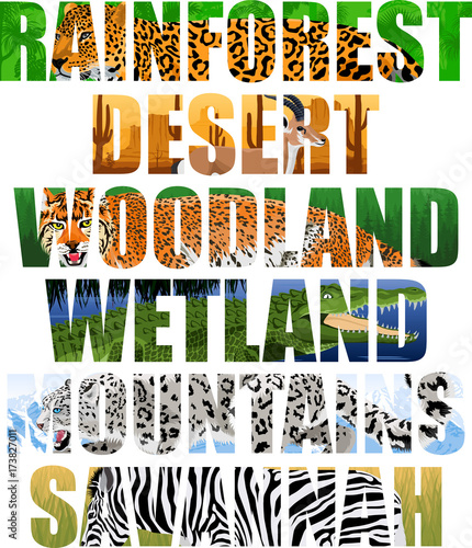 vector landscapes and animals illustration - rainforest, desert, woodland, wetland, mountains, savannah