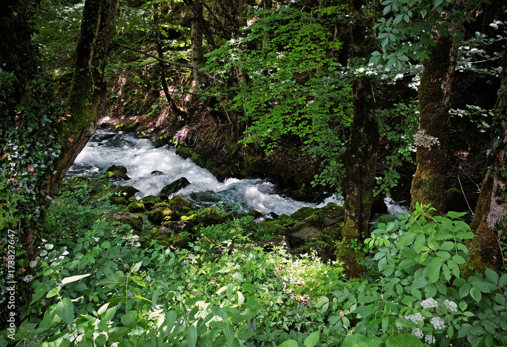 Stream flowing through rocky path in forest Stream flowing through rocky path in forest