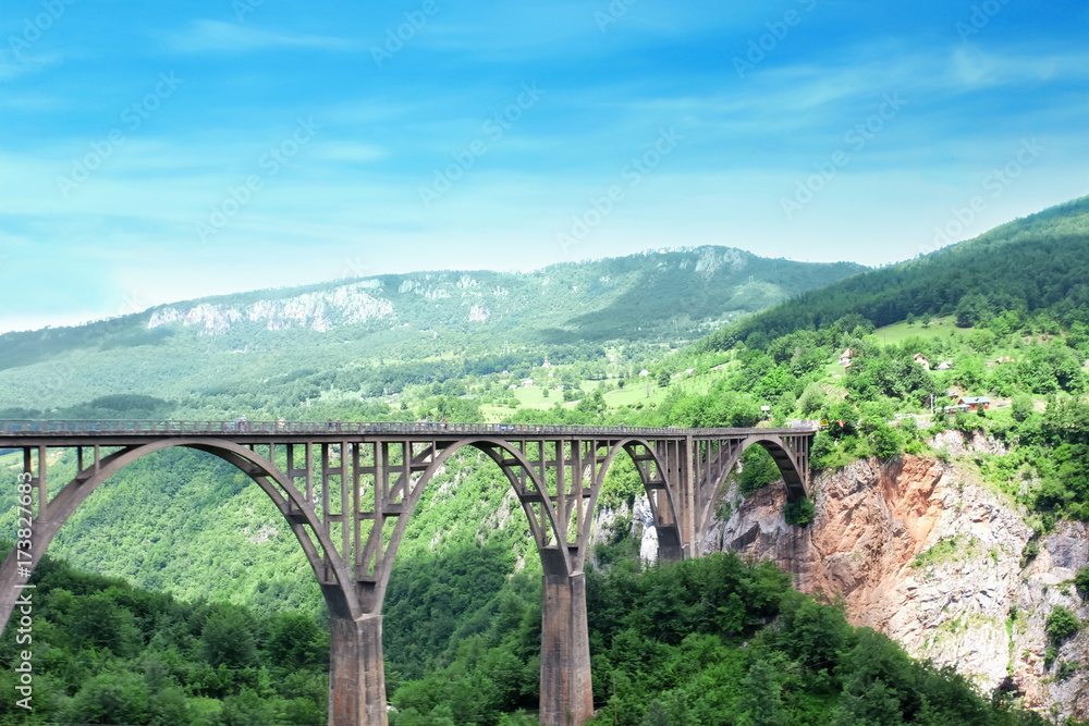 Beautiful landscape with bridge on sunny day Beautiful landscape with bridge on sunny day