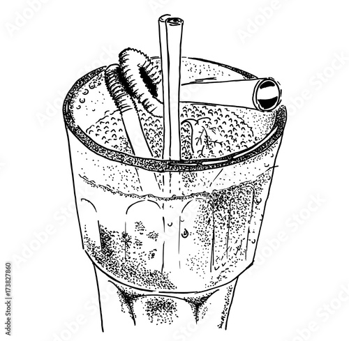 Classic mojito in Highball. Vector sketch illustration of cocktail. Hand drawn.