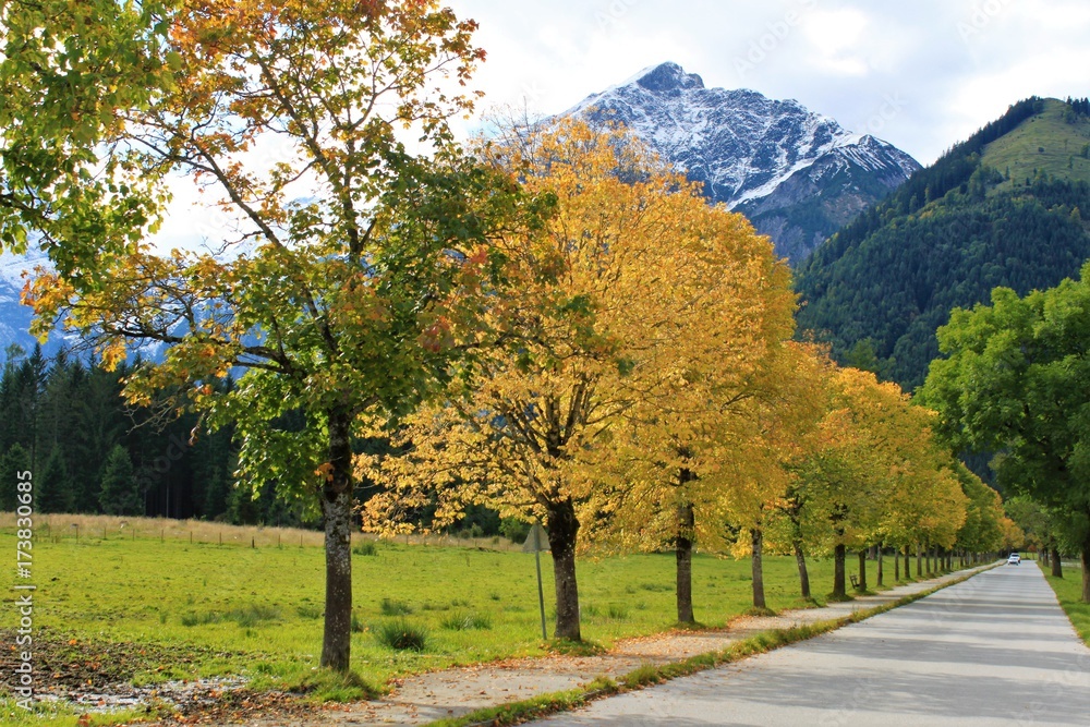 natur im herbst, farbenfrohes laub auf den bäumen einer allee/bunte jahreszeit im gebirge,/erster schnee auf  bergen in tirol, österreich 