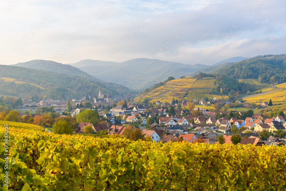 Village of Barr in Vineyard landscape in region Alsace, France