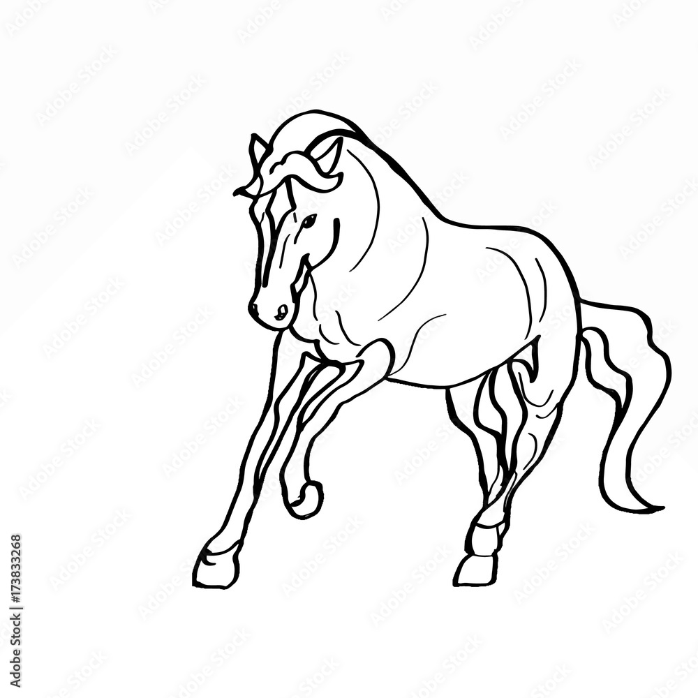 realistic horse black and white drawing Stock Illustration Adobe Stock