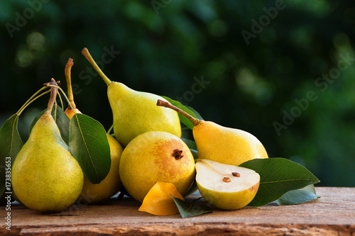 A few ripe yellow pears on a branch with leaves. Freshly harvested fruit on the wooden table and blurred background
