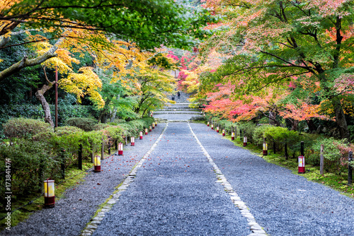 Japan Autumn Itinerary